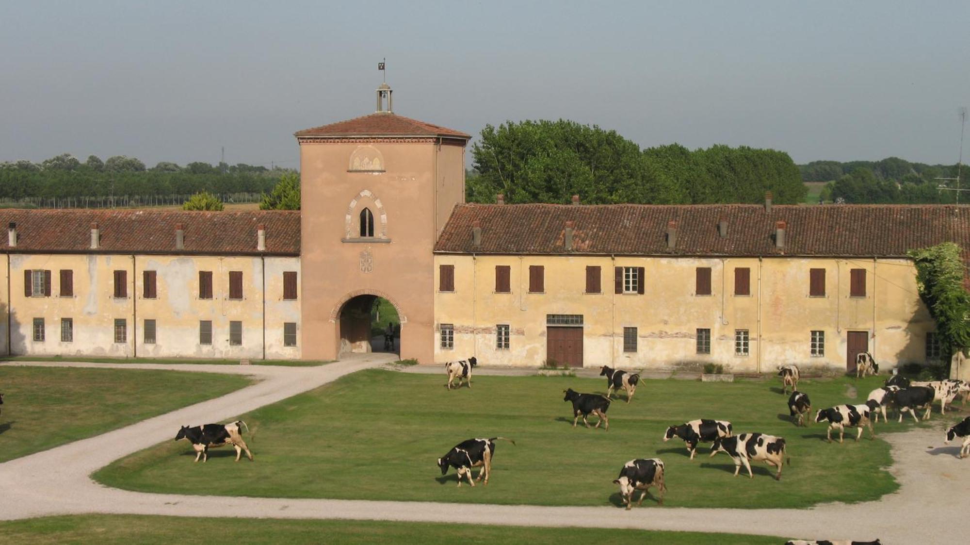 Agriturismo Corte Virgiliana Virgilio Ngoại thất bức ảnh